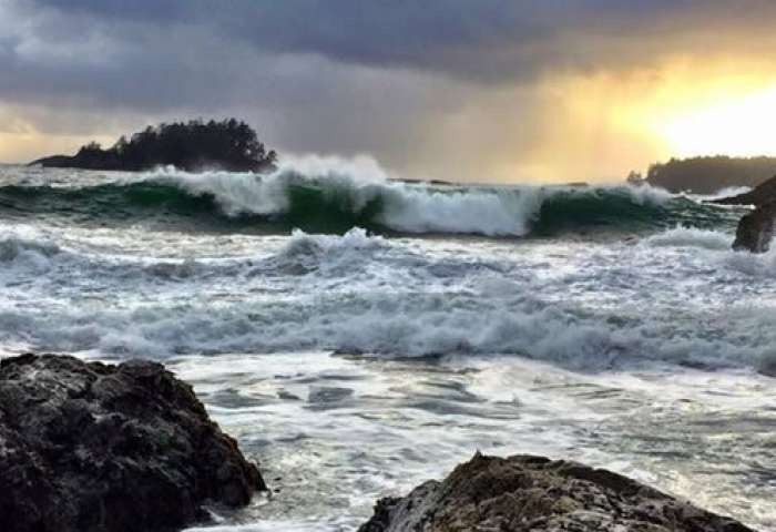 Tofino storm watching