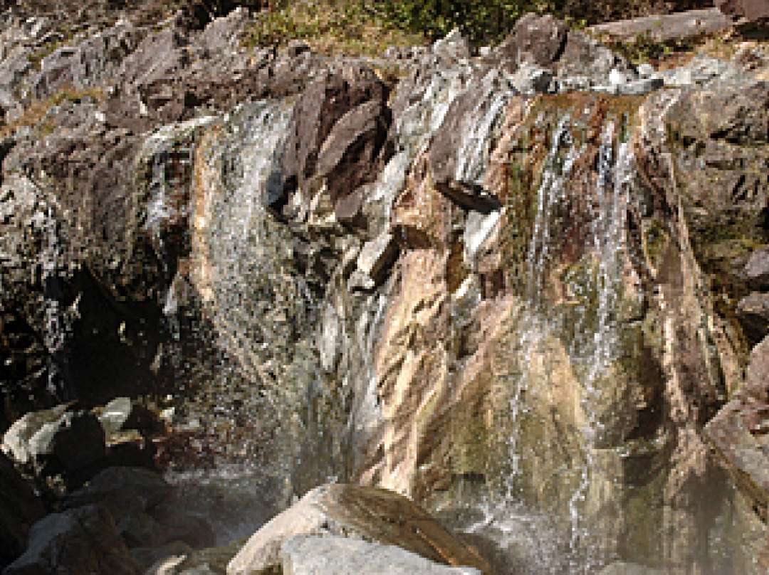 Hot Springs Cove Tofino