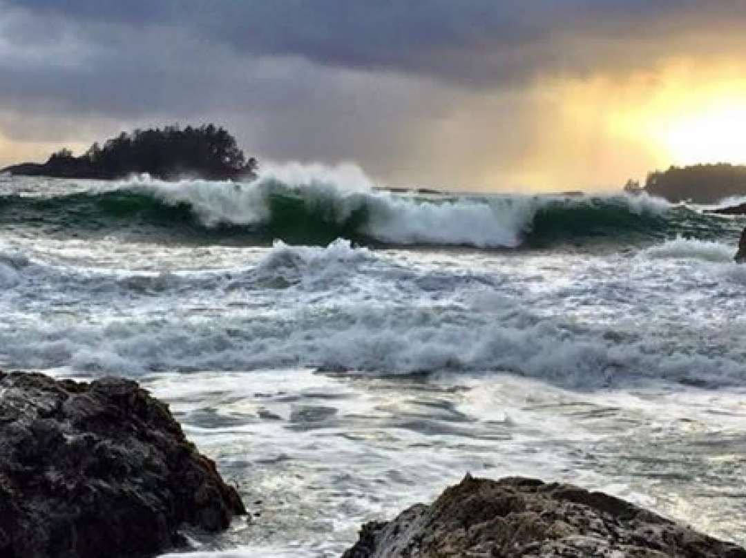 Tofino storm watching packages